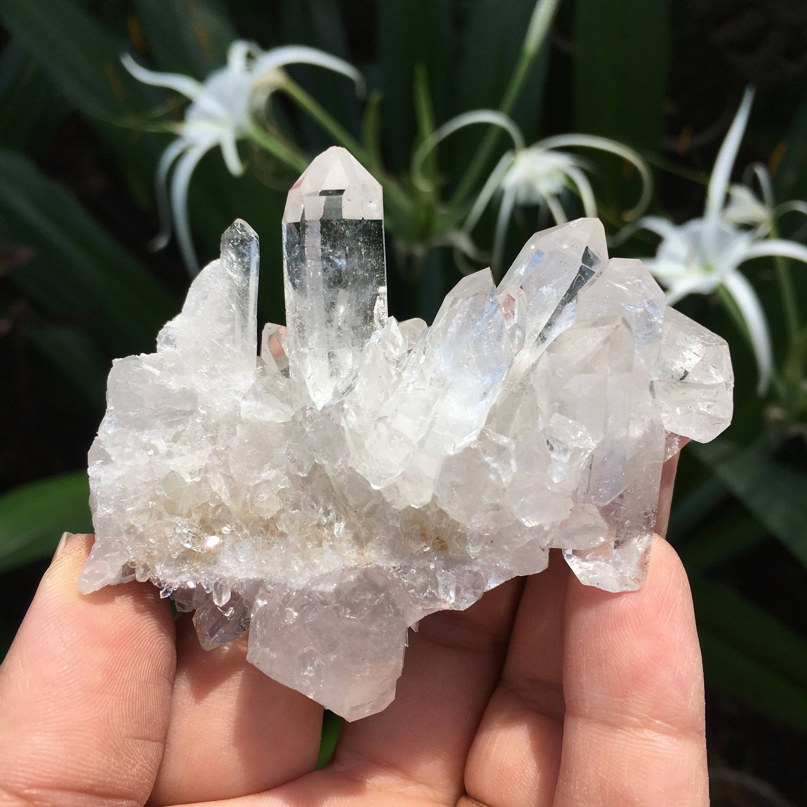 Quartz crystal cluster